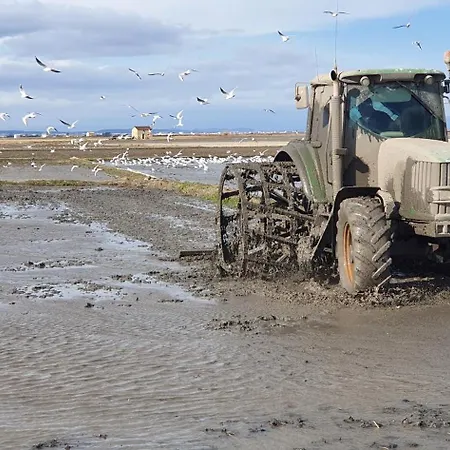 Cerca Del Centro Валенсия